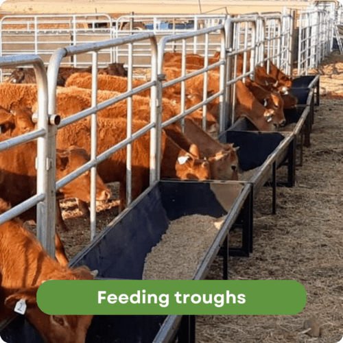 Feeding troughs