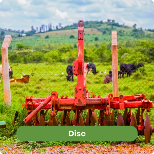Disc